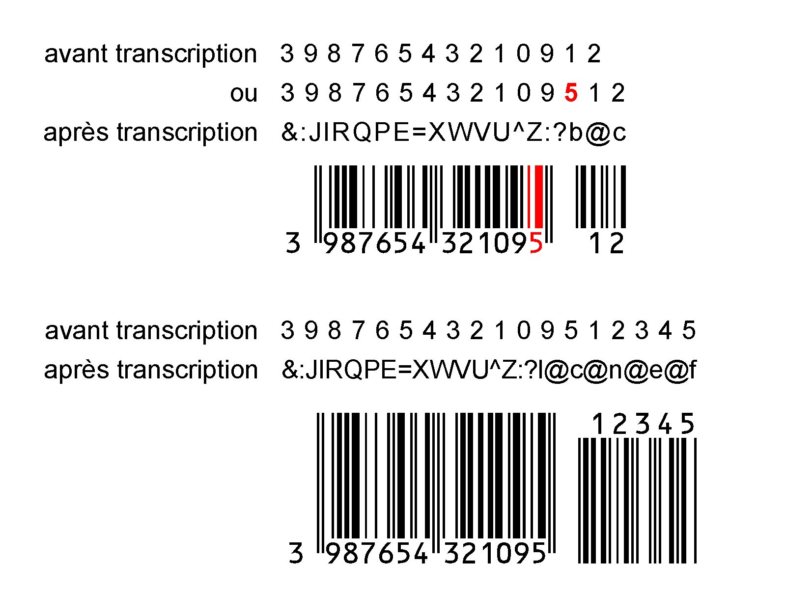 Transcription Ean étendu